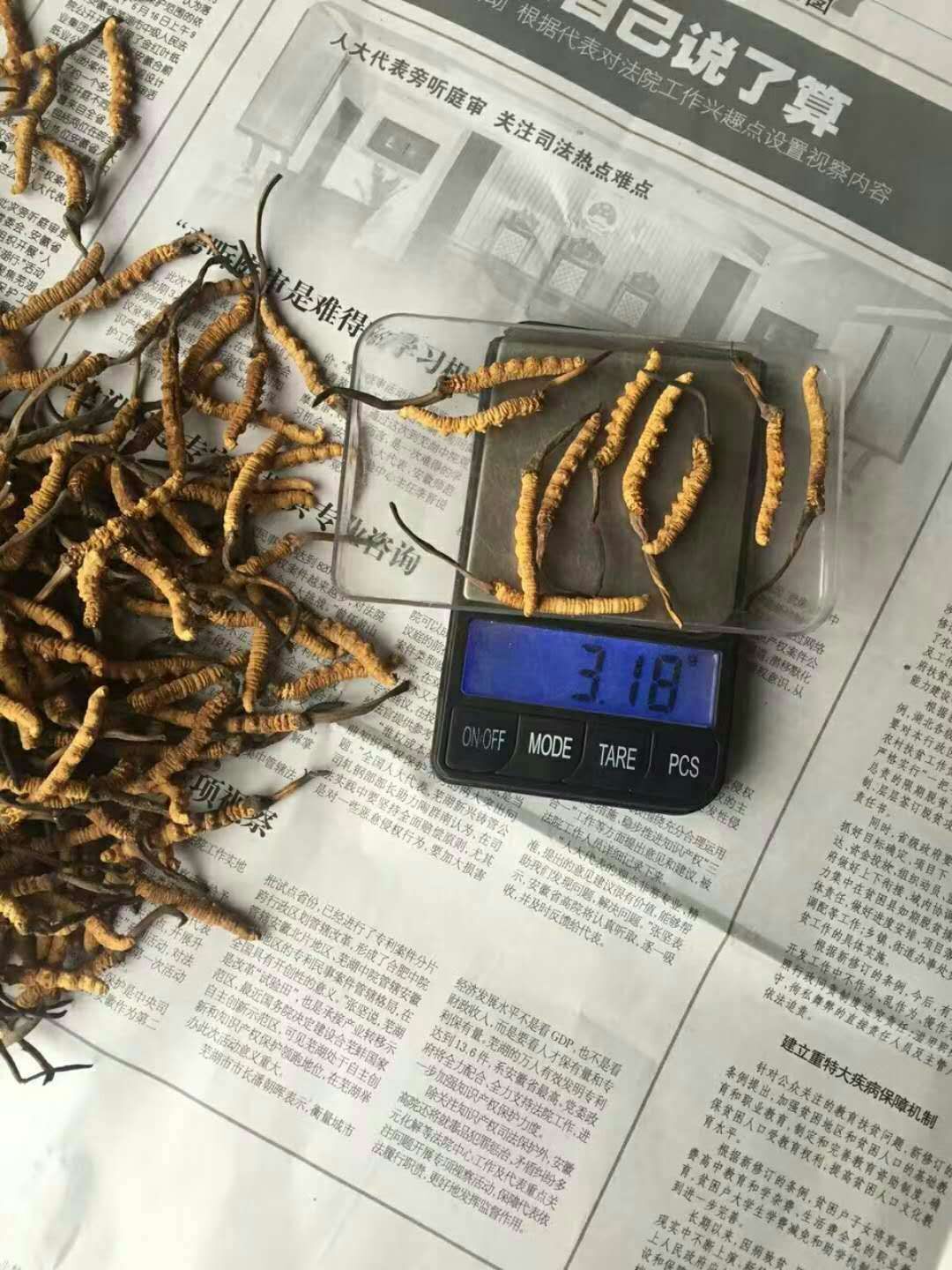 那曲冬蟲夏草功效與作用/食用方法