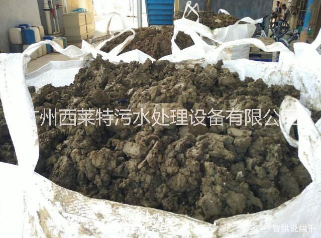 污泥干化機廠家報價   污泥干化機