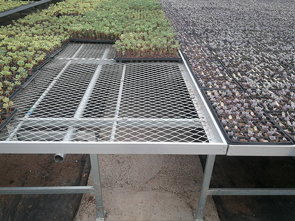 花卉苗床價格，花卉苗床廠家直銷，花卉苗床批發(fā)，衡水花卉苗床，保定花卉苗床價格