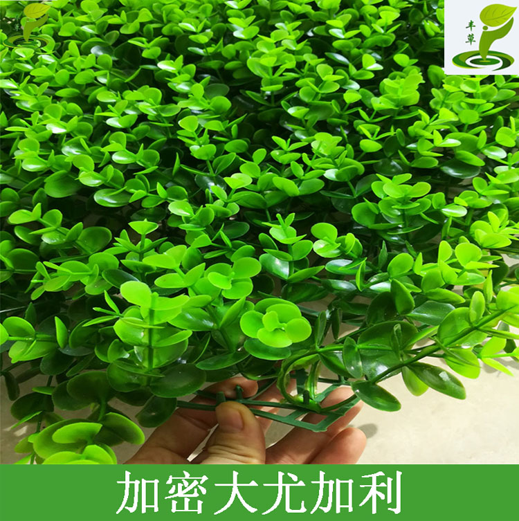 廣州豐草塑料花假草大尤加利裝飾外墻圍欄婚禮現(xiàn)場布置墻草