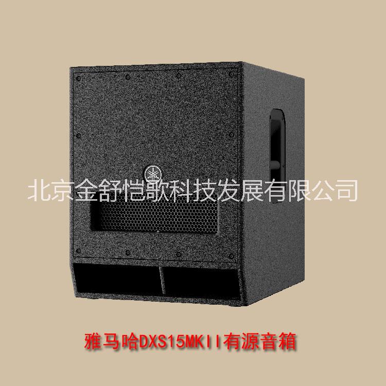 15” 有源超低音音箱DXS15mkII 有源音箱 DXS15mkII 音箱