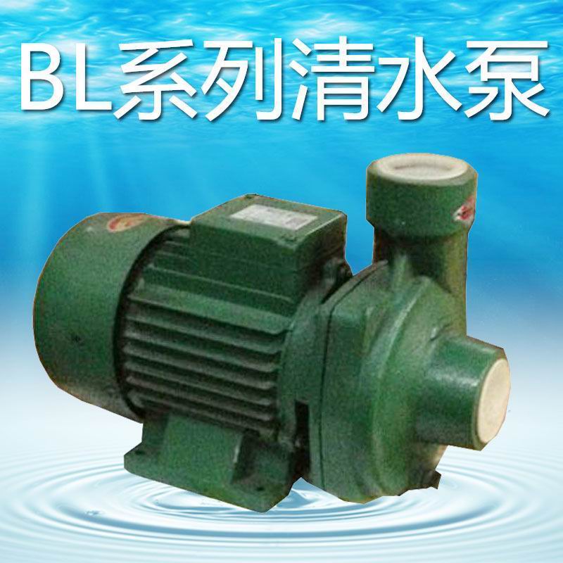 長江牌水泵 家用清水泵 BL-550清水泵