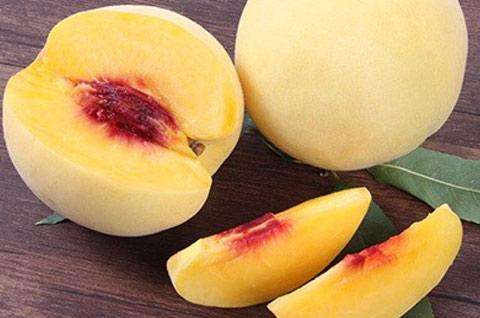 什么炎陵高山黃桃？