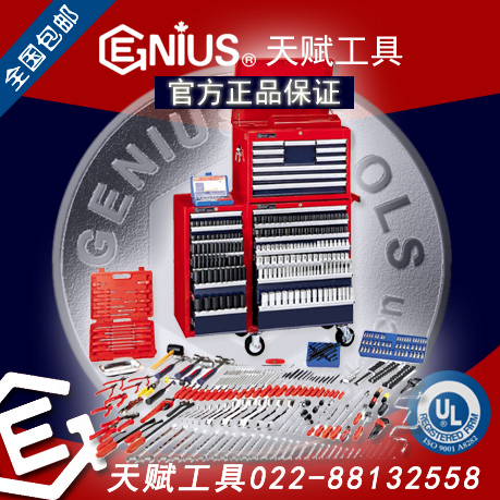 Genius天賦工具MS-541TS 541件套英制和公制綜合工具配工具車