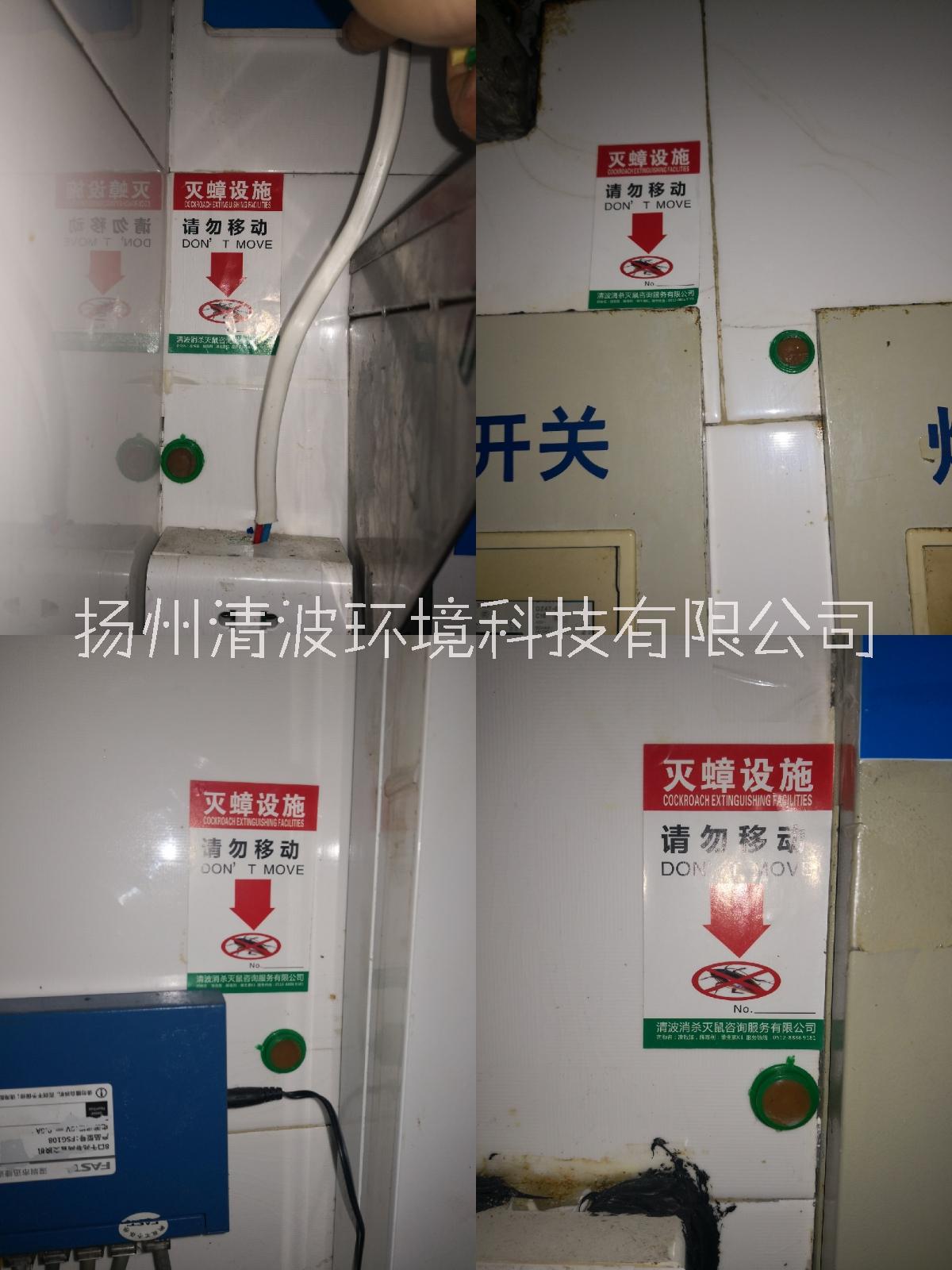 儀征 高郵 寶應(yīng) 滅蟑螂 殺蟑螂 滅蟑螂公司 殺蟑螂公司 除蟑螂公司 防蟑螂公司 專業(yè)防治公司 專業(yè)消殺服務(wù)