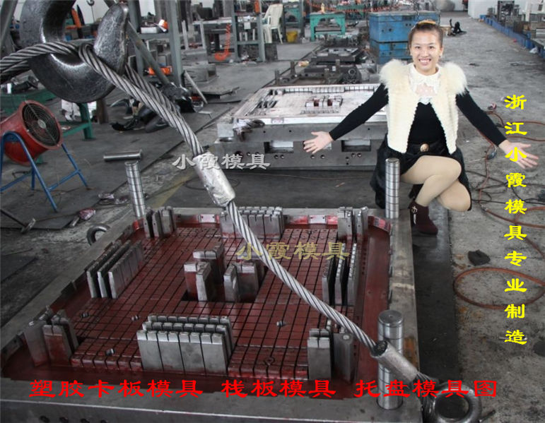 *載重注射托盤模具 自己開模