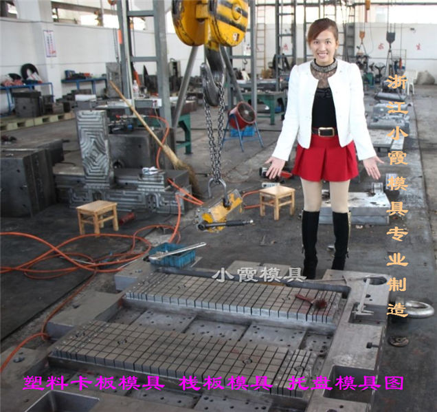 *載重注射托盤模具 自己開模