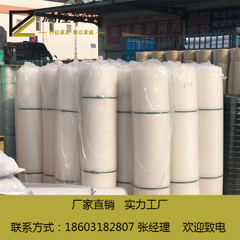 供應(yīng)河北鵬隆絲網(wǎng)  養(yǎng)蝦塑料平網(wǎng) 水產(chǎn)養(yǎng)殖塑料平網(wǎng) *廠家