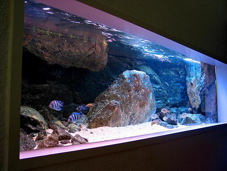 廣州魚缸定制、圓形魚缸、出租大型魚缸、家庭魚缸、訂做辦公室魚缸