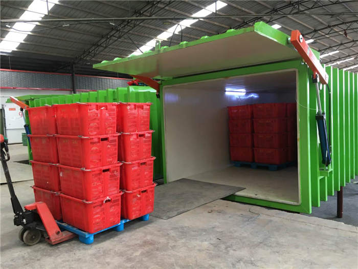 深圳愛(ài)斯奧果蔬真空預(yù)冷機(jī) 蔬菜真空預(yù)冷機(jī)保鮮降溫