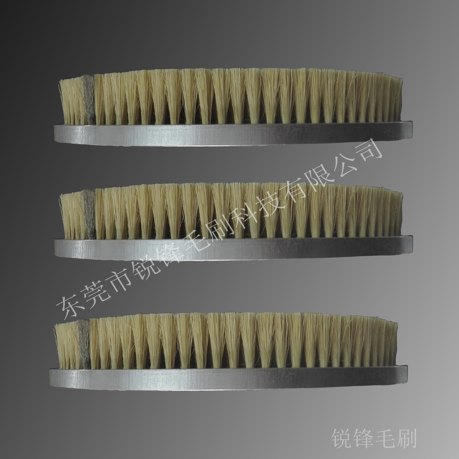 工業(yè)毛刷，金剛石拋光圓盤(pán)刷，陶瓷毛刷 圓盤(pán)刷，拋光刷，豬毛圓盤(pán)刷