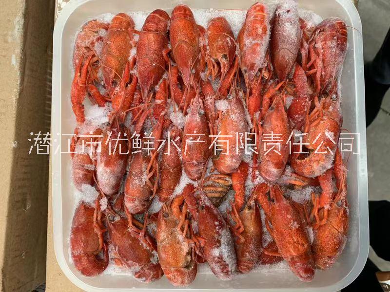 安徽合肥 凍蝦 廠家直銷
