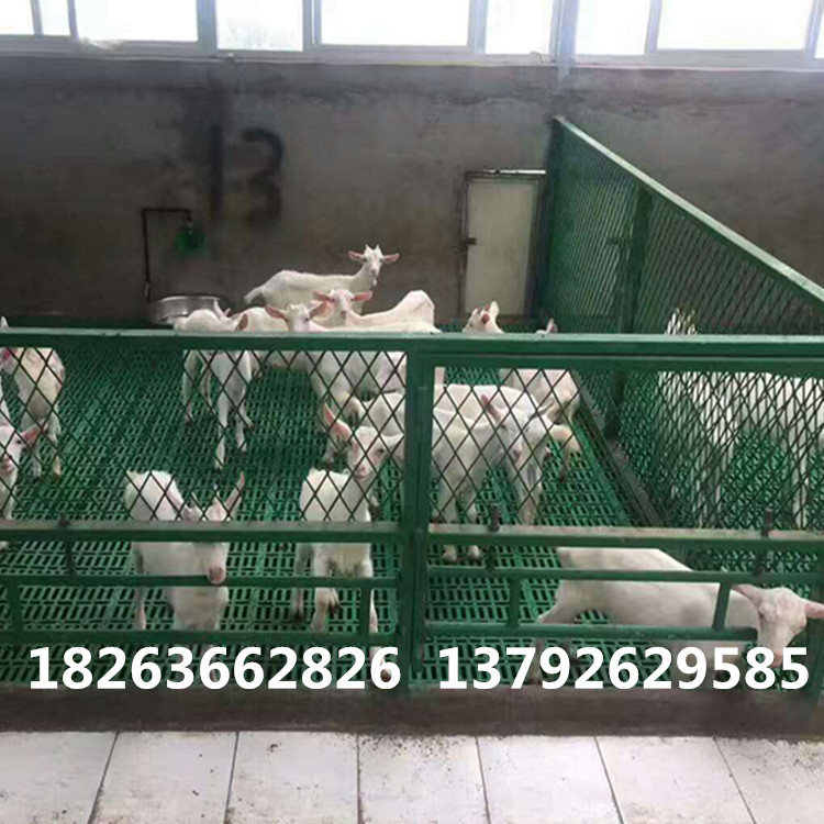 建設(shè)羊場用塑料羊床  羊塑料漏糞地板  羊漏糞板規(guī)格和圖片