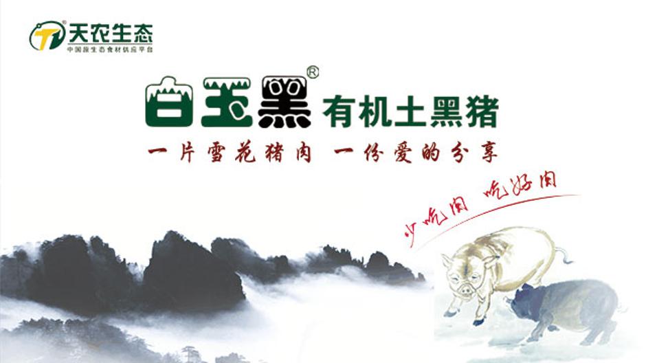 天農(nóng)生態(tài)白玉黑有機(jī)土黑豬-年豬預(yù)訂預(yù)售 仔豬領(lǐng)養(yǎng) 整豬訂購(gòu) 白玉黑土黑豬