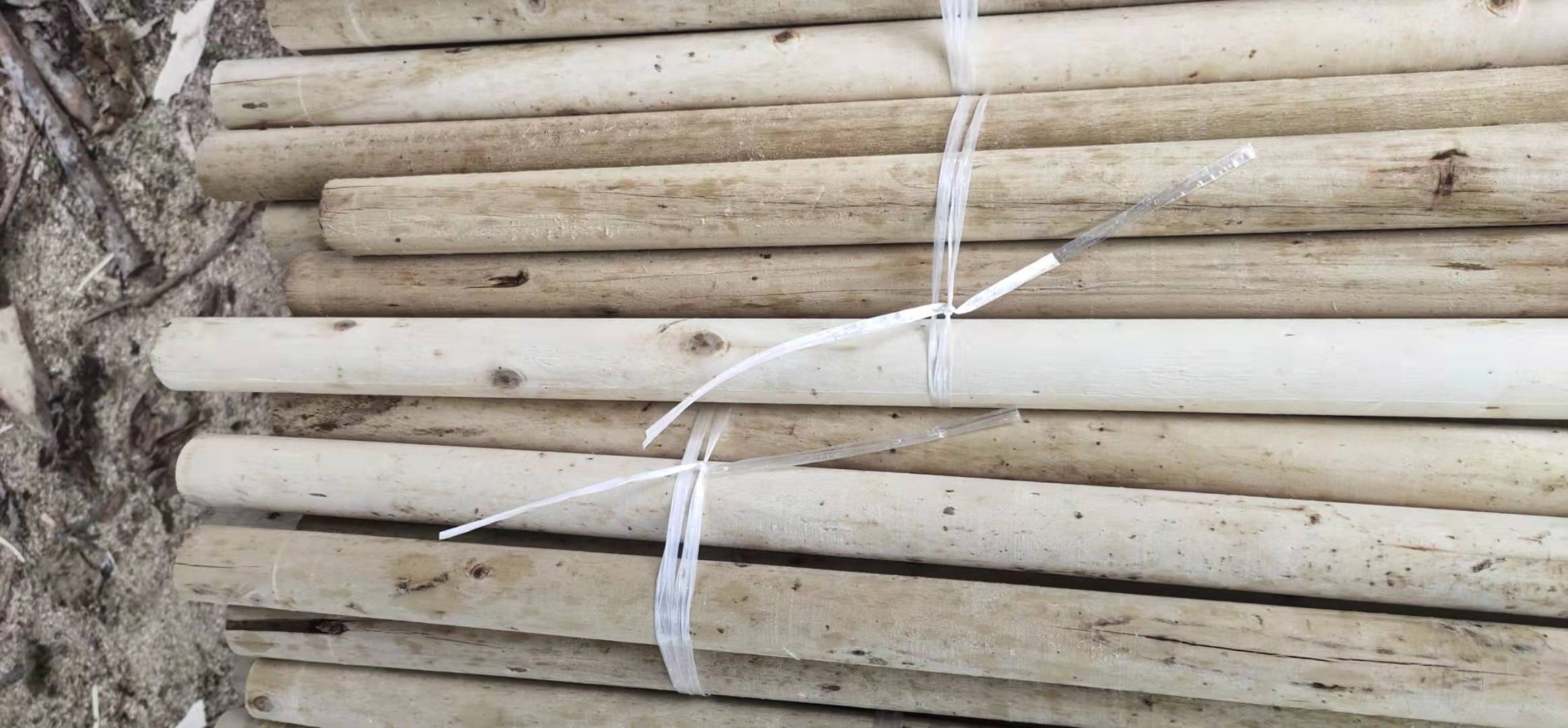 楊木綠化桿/生產(chǎn)廠家/批發(fā) 長期發(fā)車各種型號楊木綠化桿