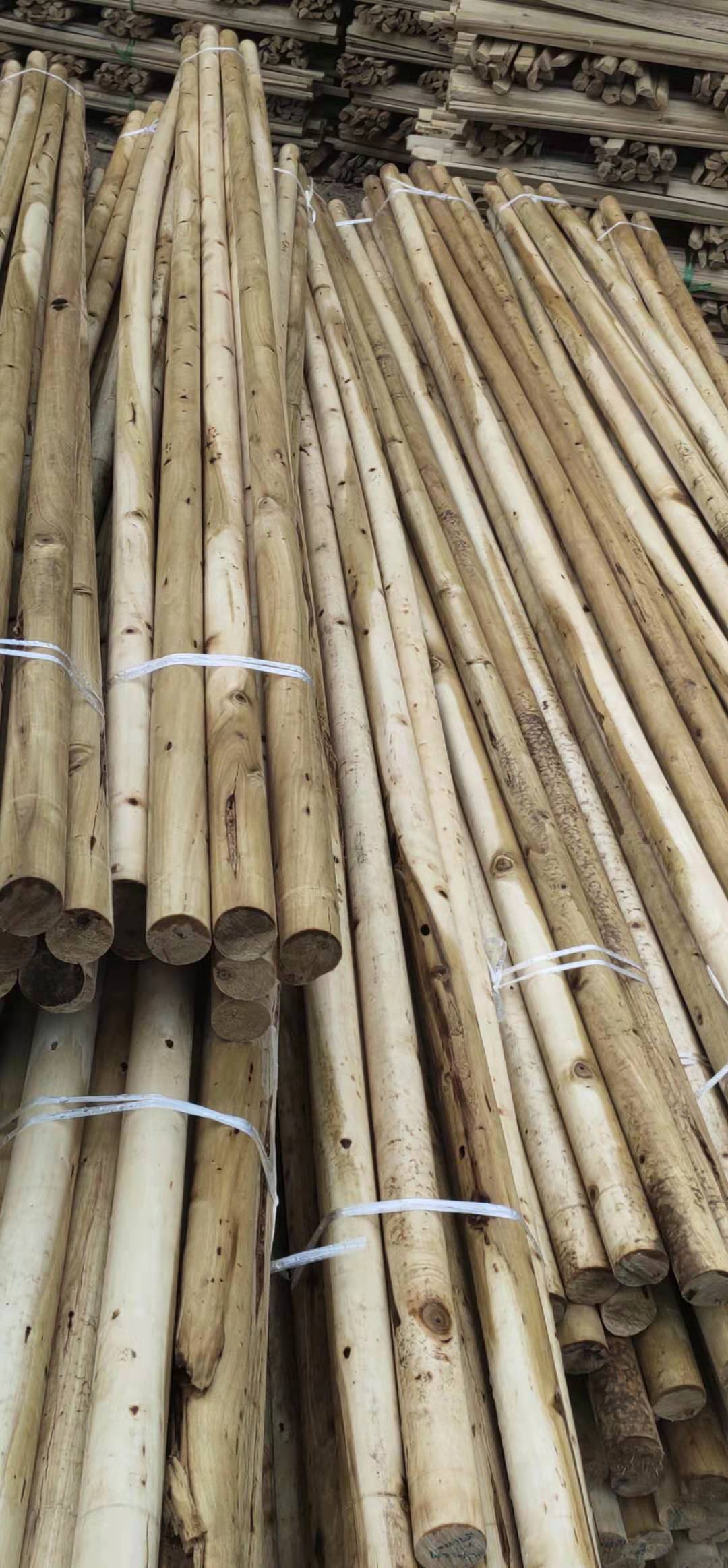 楊木綠化桿/生產(chǎn)廠家/批發(fā) 長期發(fā)車各種型號楊木綠化桿