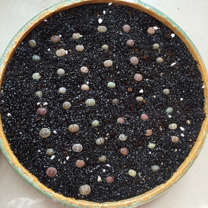 黑金沙垃圾桶煙灰缸黑色石英砂滅煙沙造景黑沙魚缸沙底砂水草沙子 黑金砂