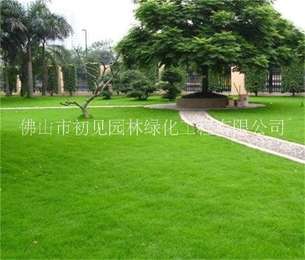 園林綠化設(shè)計(jì)施工  養(yǎng)護(hù) 改造