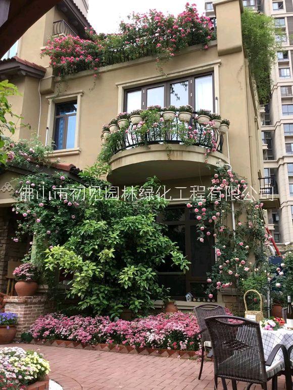 專業(yè)園林綠化工程施工、小區(qū)學校工廠養(yǎng)護、花園改造、私人別墅設(shè)計施工