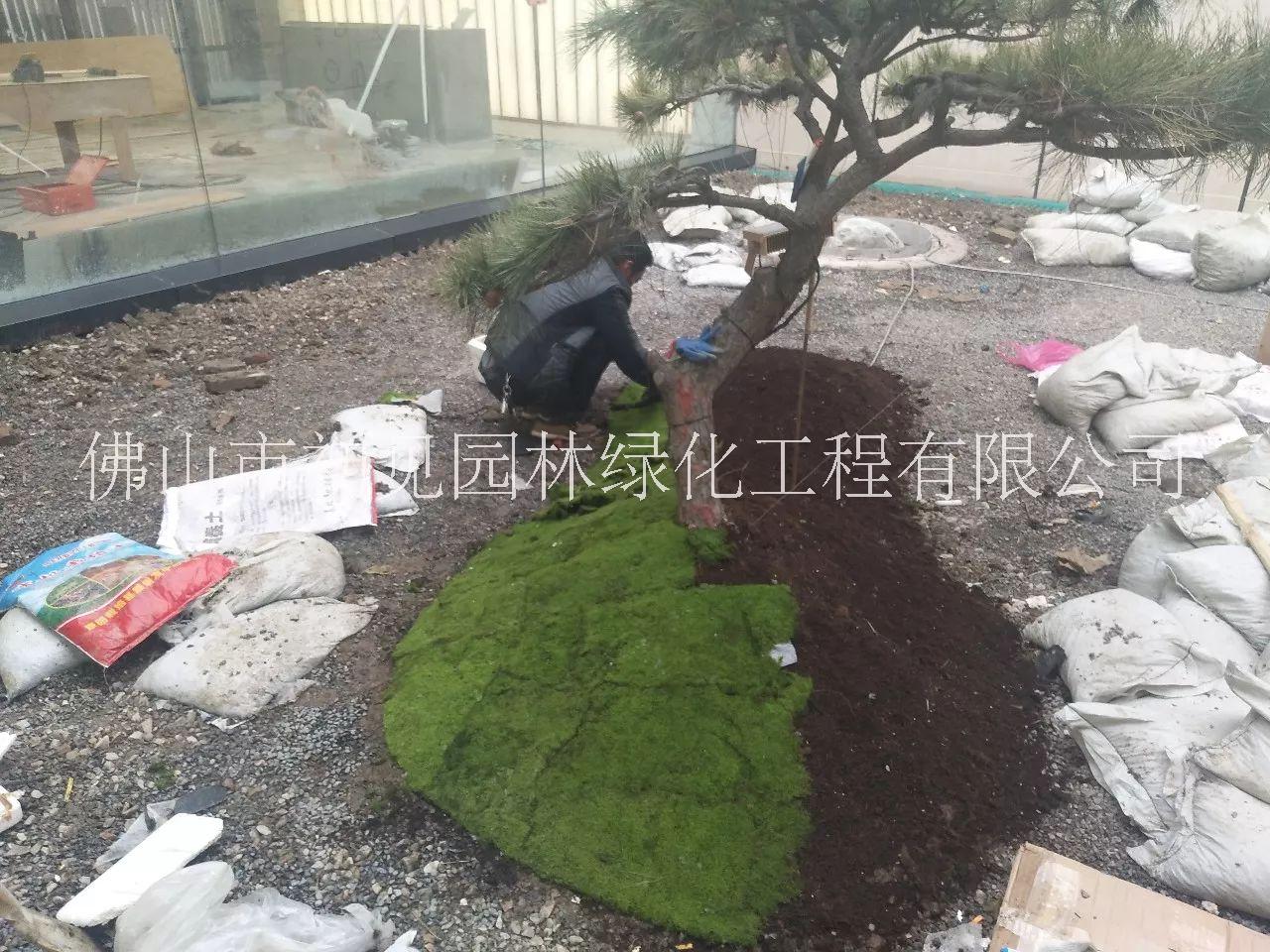 東莞別墅花園設(shè)計以及施工