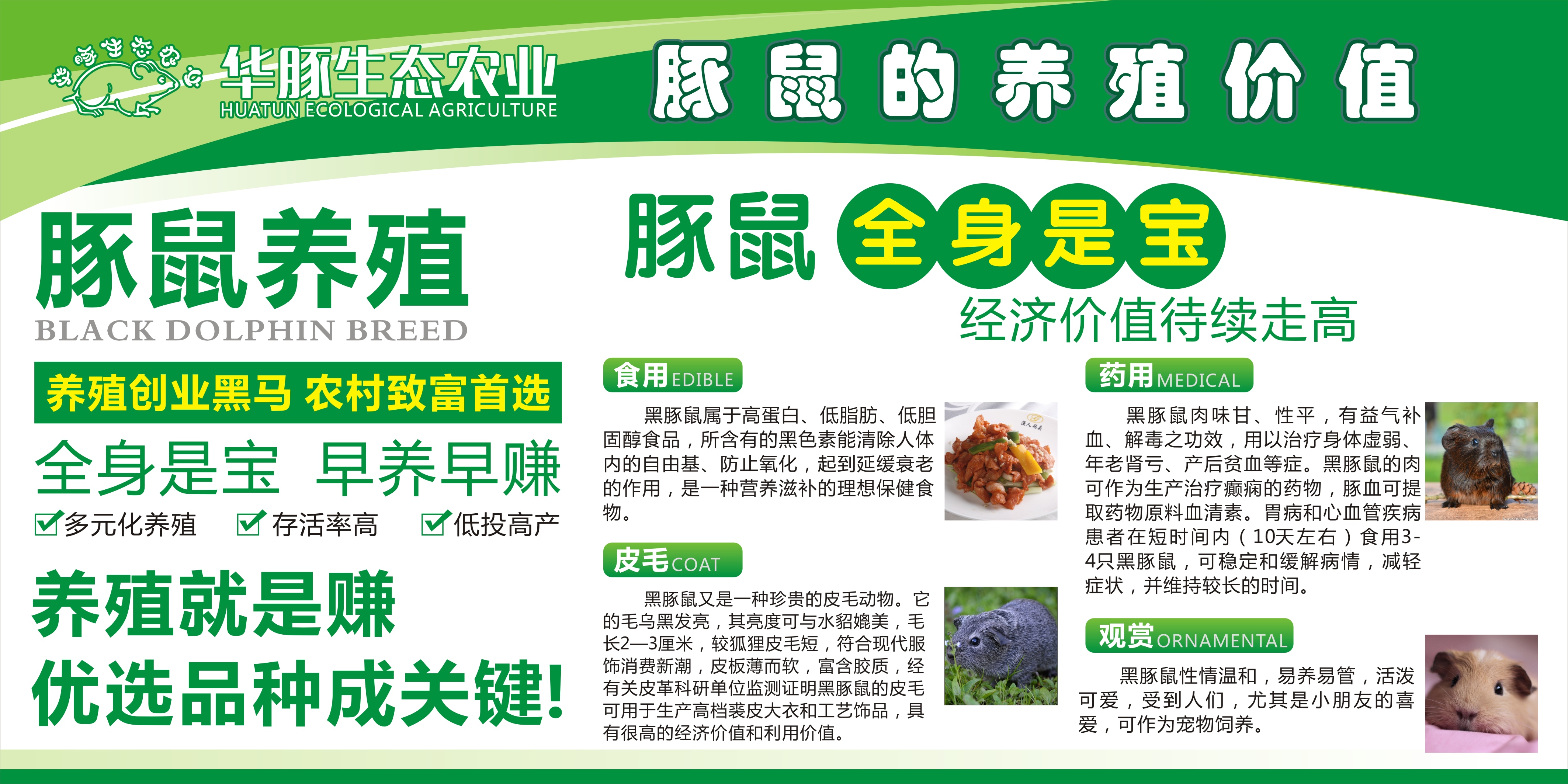 華豚生態(tài)農(nóng)業(yè)黑豚養(yǎng)殖的發(fā)展前景