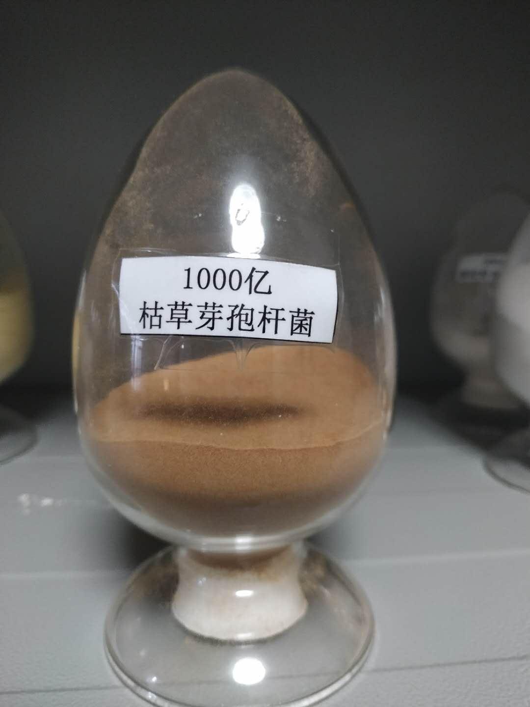 青海生物肥料廠*1000億枯草芽孢桿菌 青海枯草芽孢桿菌