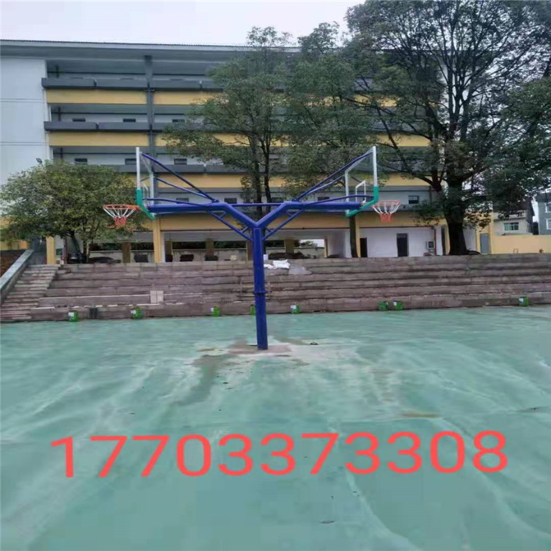 海燕式籃球架籃球架河北泰昌生產(chǎn)