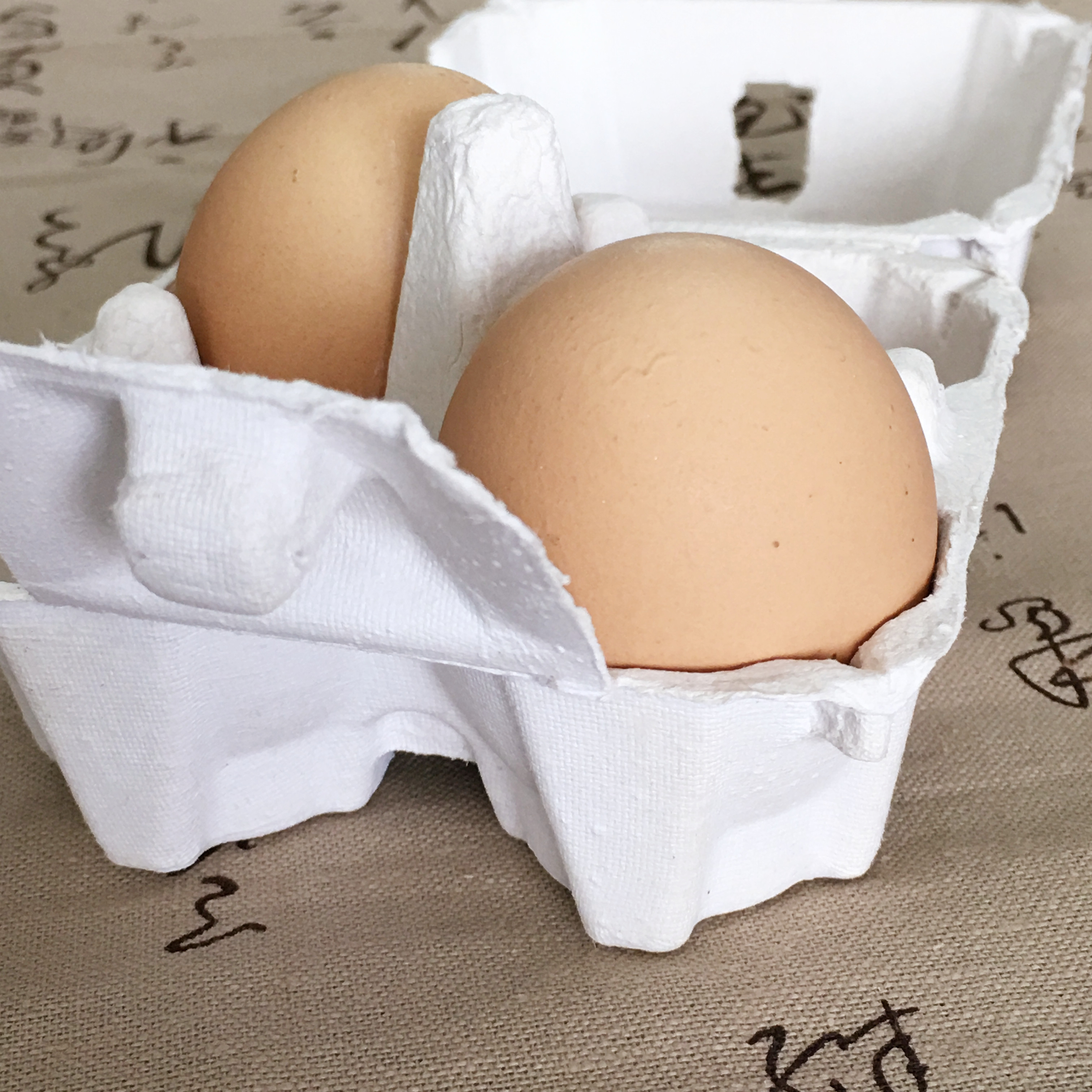 上饒紙漿模塑.紙漿托