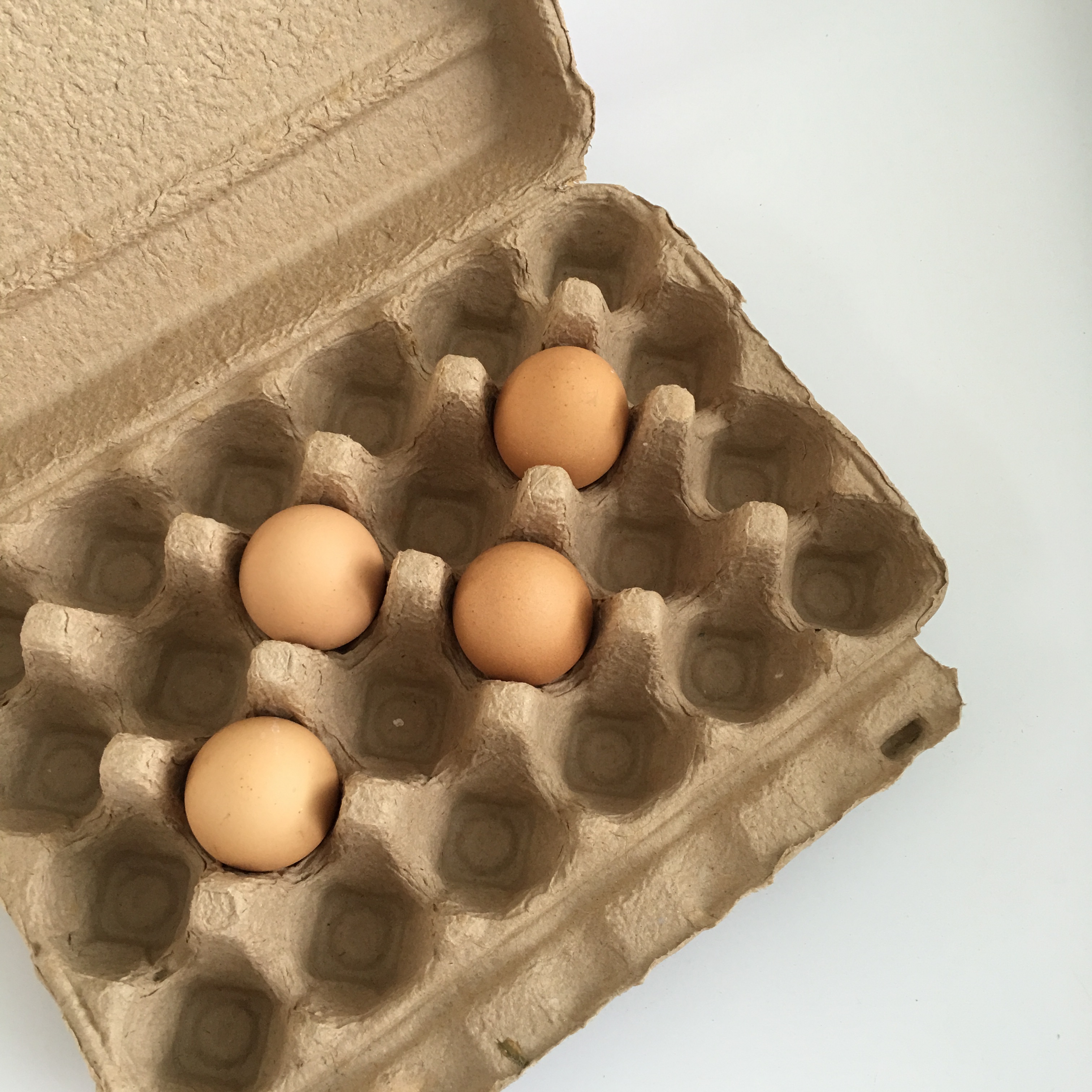 安慶紙漿模塑.紙漿托