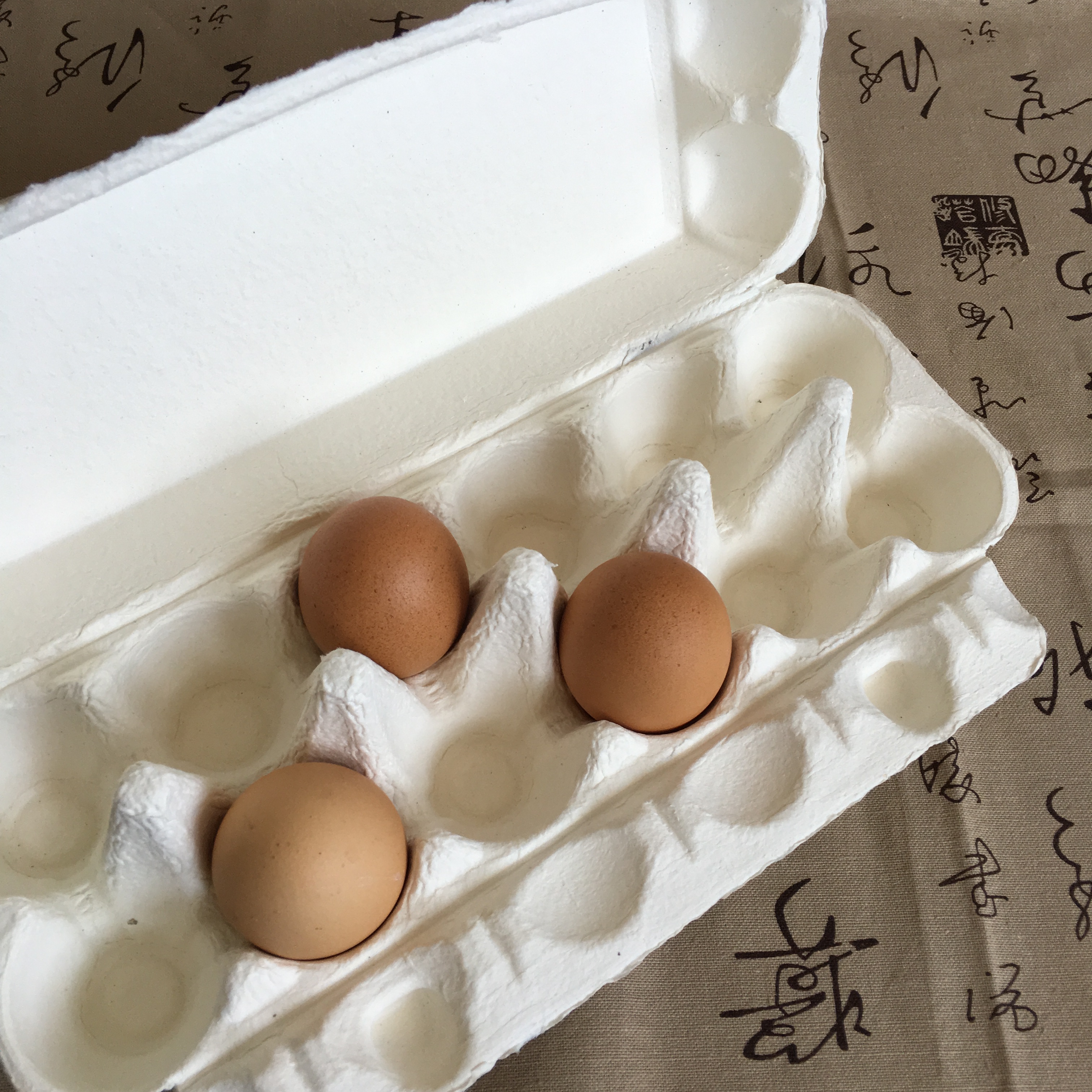 安慶紙漿模塑.紙漿托