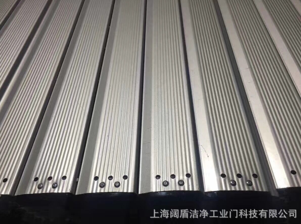 電動車庫門報價，批發(fā)，供應商，生產廠家【上海闊盾潔凈工業(yè)門科技有限公司】