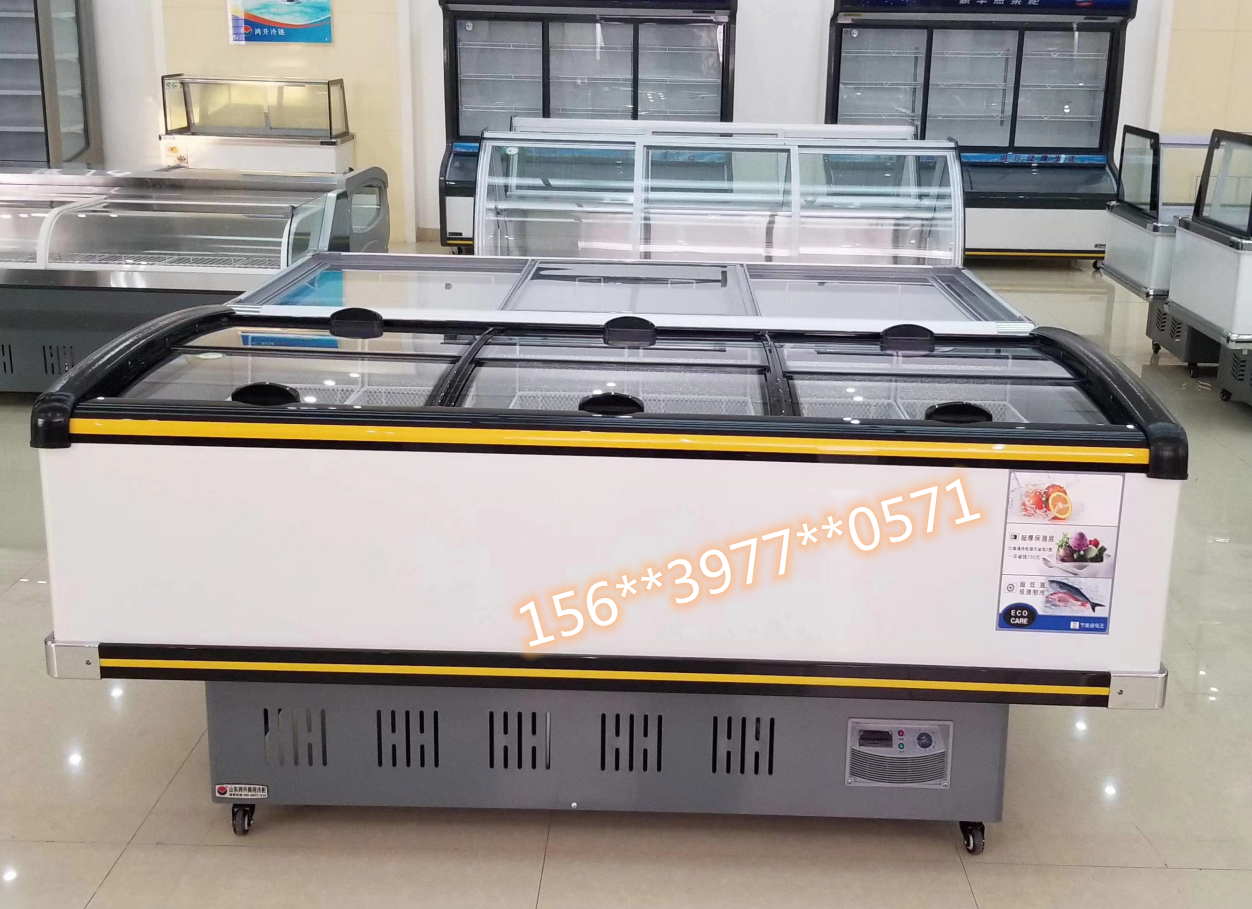 河南超市冰柜冷凍展示柜哪個牌子好