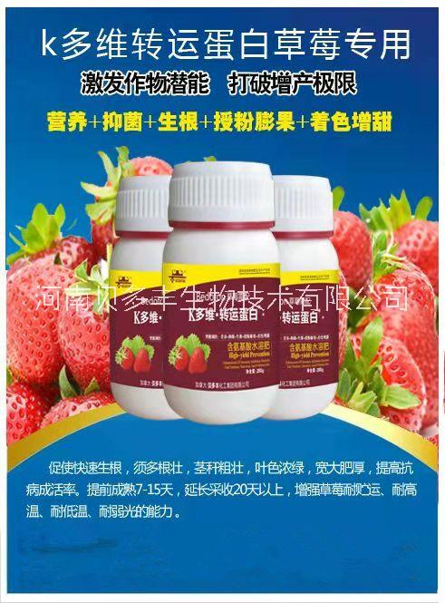河南草莓葉面肥廠家_貝多豐草莓苗期膨果葉面肥價格