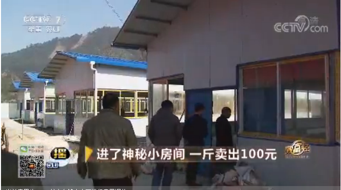 廣西人工*養(yǎng)殖-養(yǎng)殖商品*、種苗