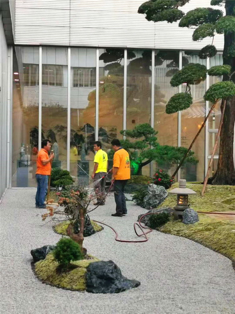 良好直銷山東野山石 庭院黑山石 黑山石安裝