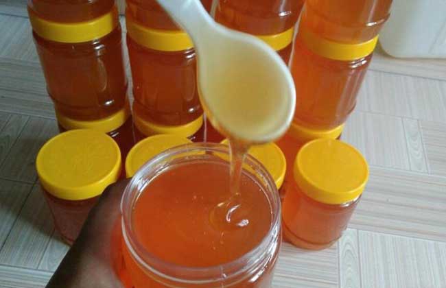 蜂蜜進(jìn)口報(bào)關(guān)商檢申報(bào)