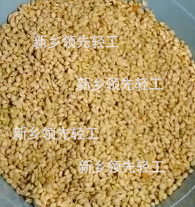 新鄉(xiāng)*機械專業(yè)制造橘子（柑橘）取籽機
