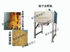 新鄉(xiāng)*機械專業(yè)制造橘子（柑橘）取籽機