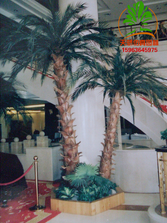 河北邯鄲仿真棕櫚樹假棕櫚樹廠家
