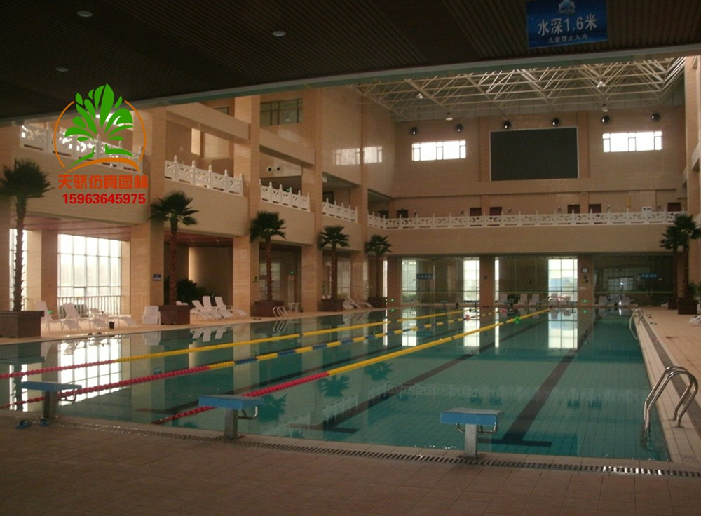 江蘇仿真棕櫚樹假棕櫚樹*品牌廠家天驕仿真園林江蘇仿真棕櫚樹假棕櫚樹*品牌廠家