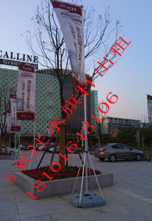 黃浦婚紗掛通租賃圖片