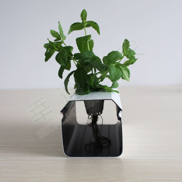 幸運買家 定植籃圓形定植杯加深環(huán)保疏水罩固根器水培基質(zhì)定植籃 定植籃批發(fā)
