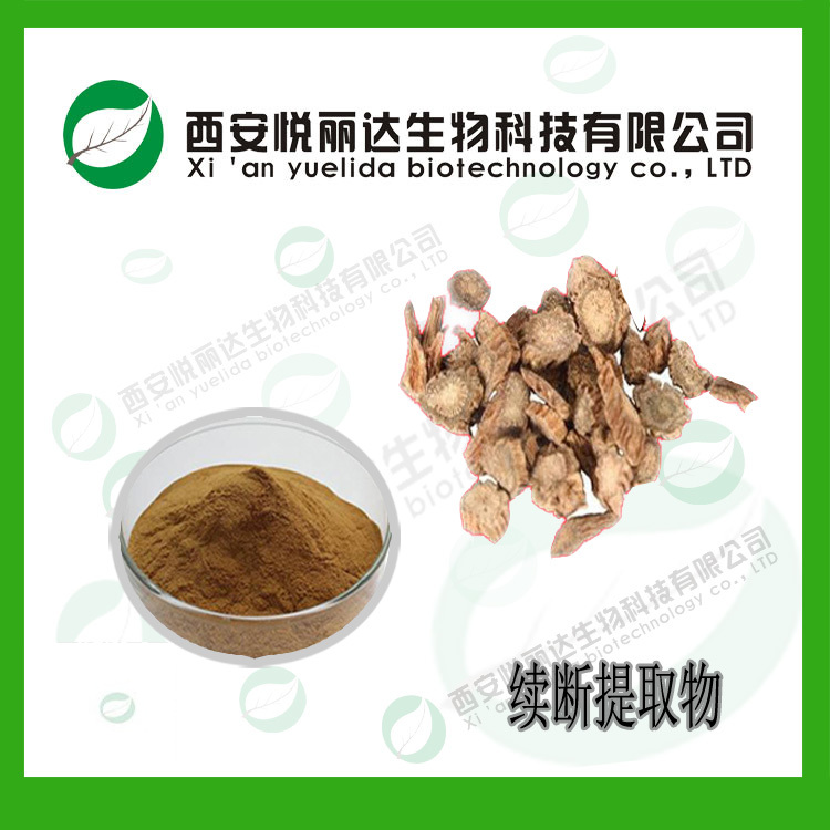 續(xù)斷提取物 川續(xù)斷浸膏粉10：1續(xù)斷水溶粉生產(chǎn)廠家