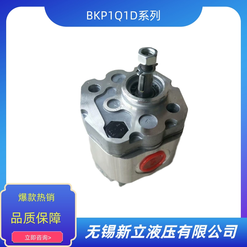 無錫油泵BKP1Q1D0.8T0Z0-V價(jià)格 批發(fā) 供貨商 生產(chǎn)廠家【無錫新立液壓有限公司】