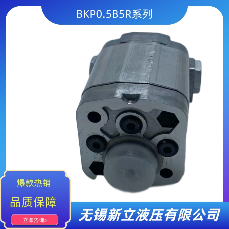 無錫齒輪油泵BKP0.5B5R價格 批發(fā) 供貨商 生產(chǎn)廠家【無錫新立液壓有限公司】