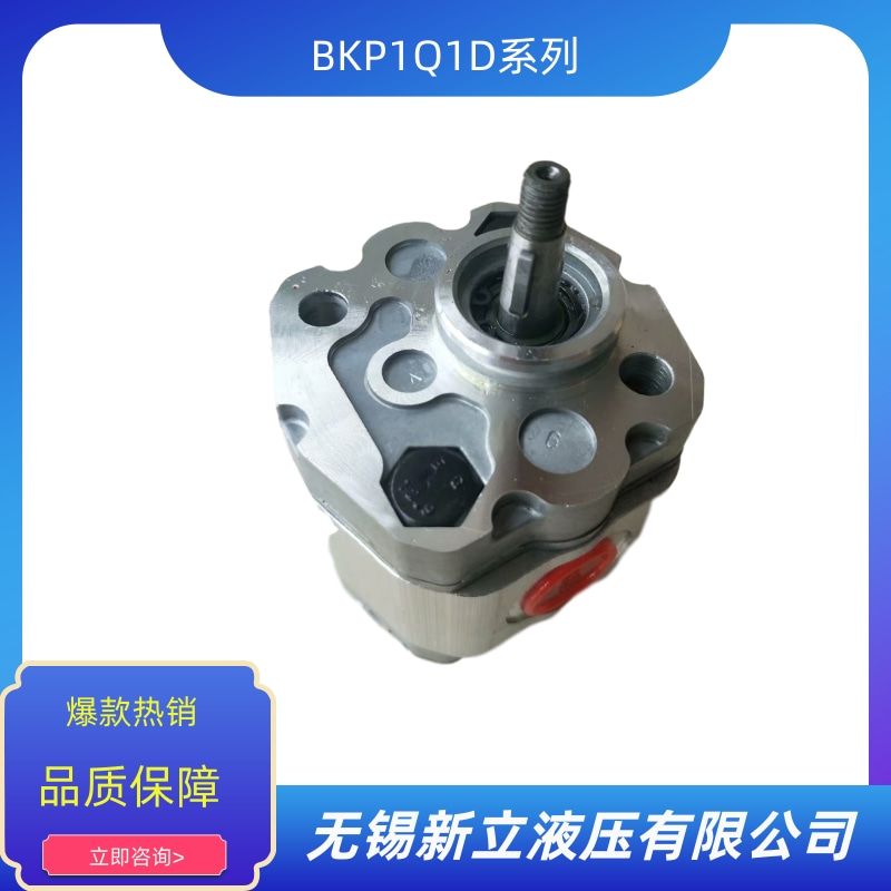 無錫油泵BKP1Q1D0.8T0Z0-V價(jià)格 批發(fā) 供貨商 生產(chǎn)廠家【無錫新立液壓有限公司】