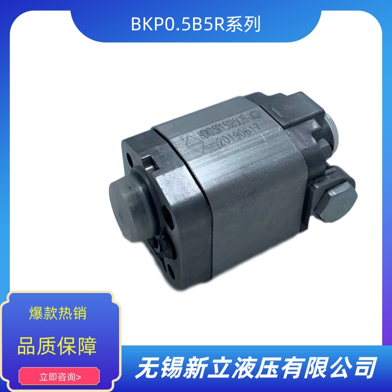 無錫齒輪油泵BKP0.5B5R價格 批發(fā) 供貨商 生產(chǎn)廠家【無錫新立液壓有限公司】