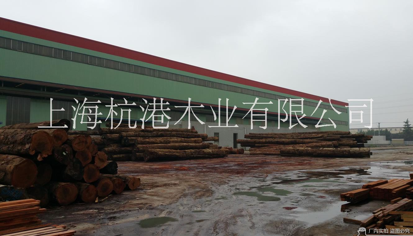 非洲菠蘿格船艙甲板、非洲菠蘿格市場價格