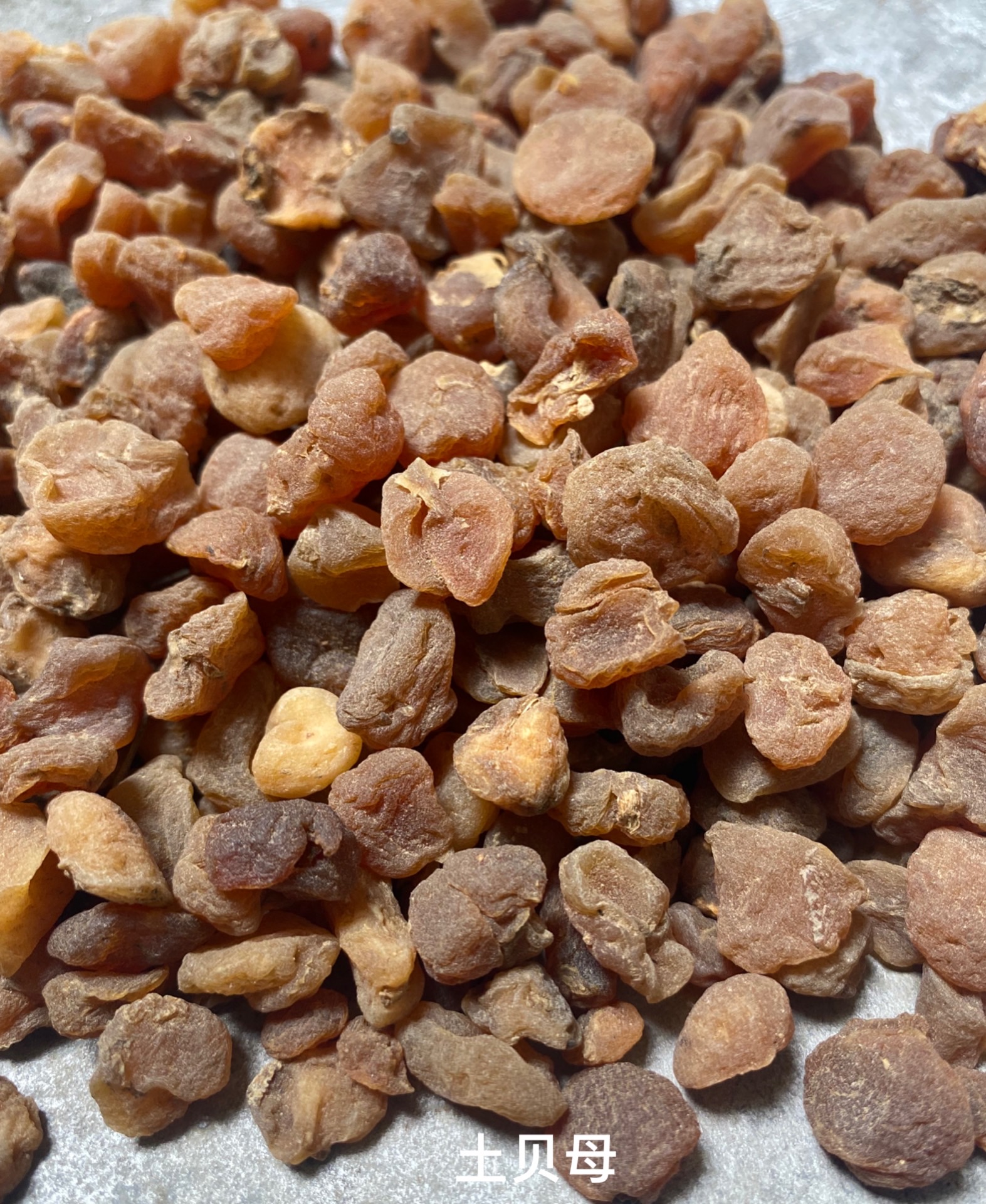 土貝母-價格-哪里買得到【亳州市奇弘堂藥業(yè)有限公司】