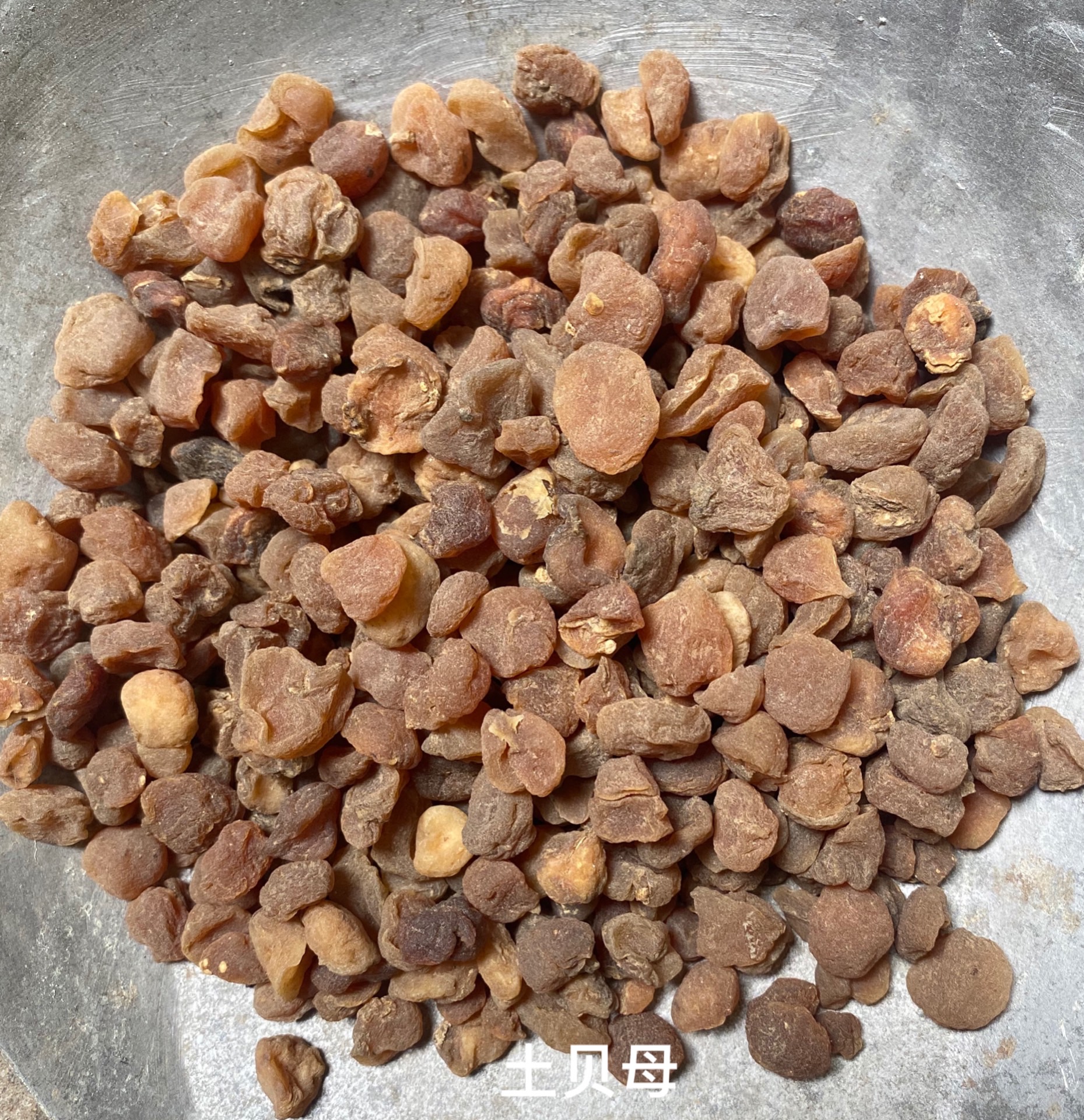 土貝母-價格-哪里買得到【亳州市奇弘堂藥業(yè)有限公司】